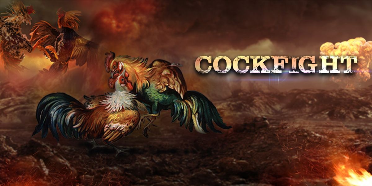 Cara Mengalahkan Robot Poker: Tips Bermain di Server dengan Keamanan Ketat